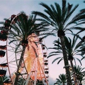 Meet your Posher, Marla